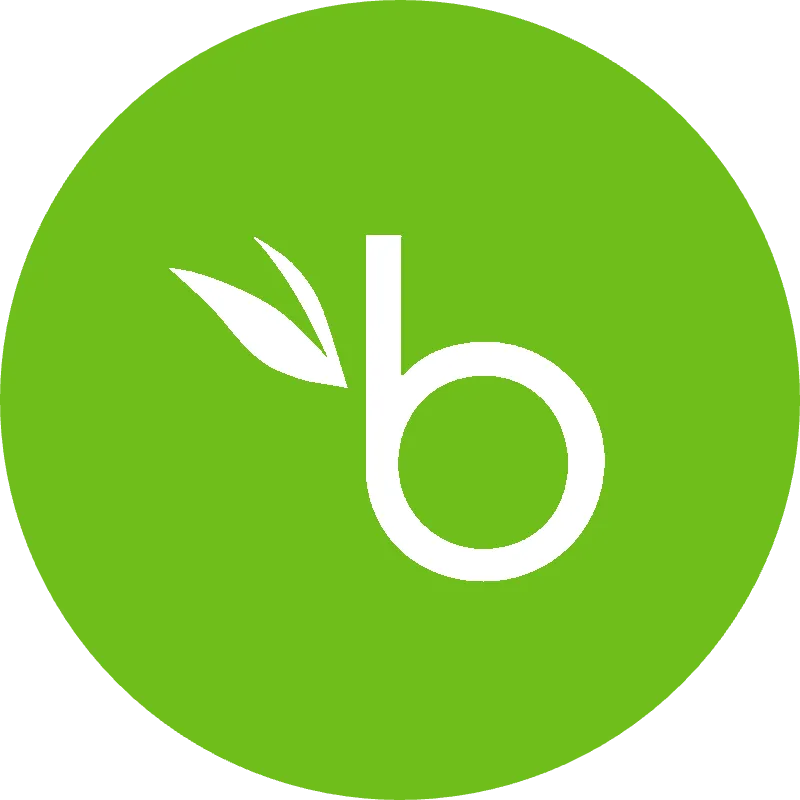 BambooHR Logo